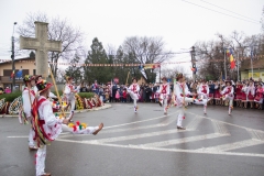 1 Decembrie 2017 (241)